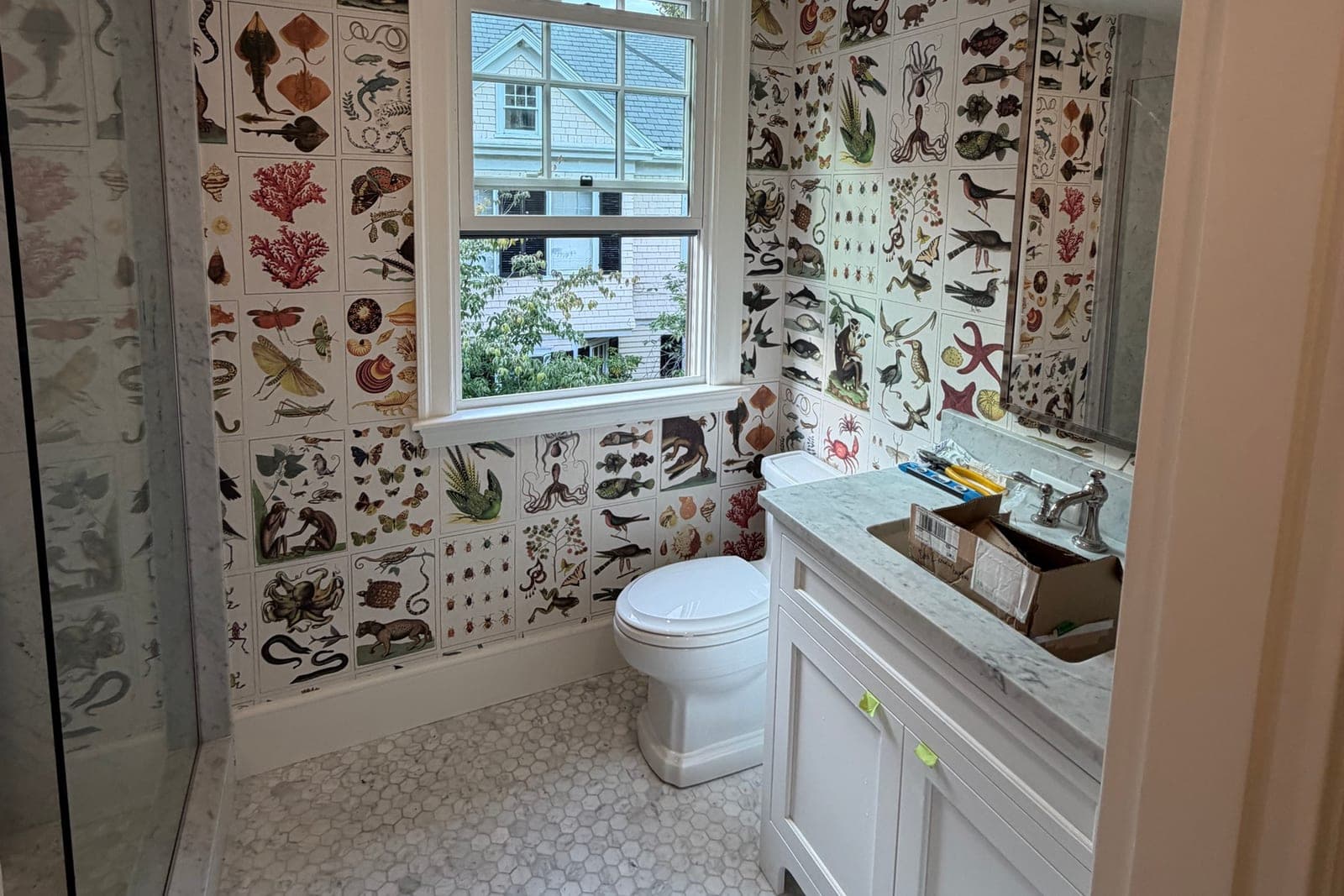 Bathroom papered in a grid of framed natural-history plates around a double-hung window, with a marble vanity and hex-tile floor